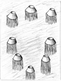 Eight of Hats from the Uncarrot Tarot Deck