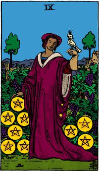 Nine of Pentacles from the Vivid Waite Smith Deck