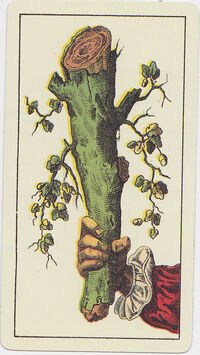 Ace of Clubs from the Tarot Genoves Tarot Deck