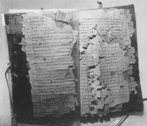 The codex format is used for the first time